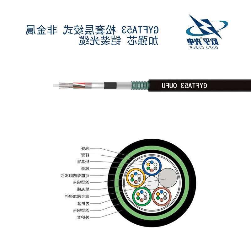 湛江市GYFTA53光缆